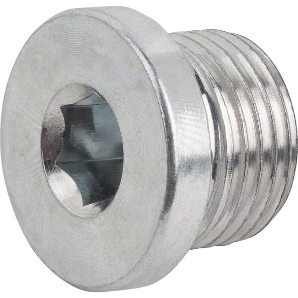 Screw plug, 1/2 in Dia, Steel Zinc plated